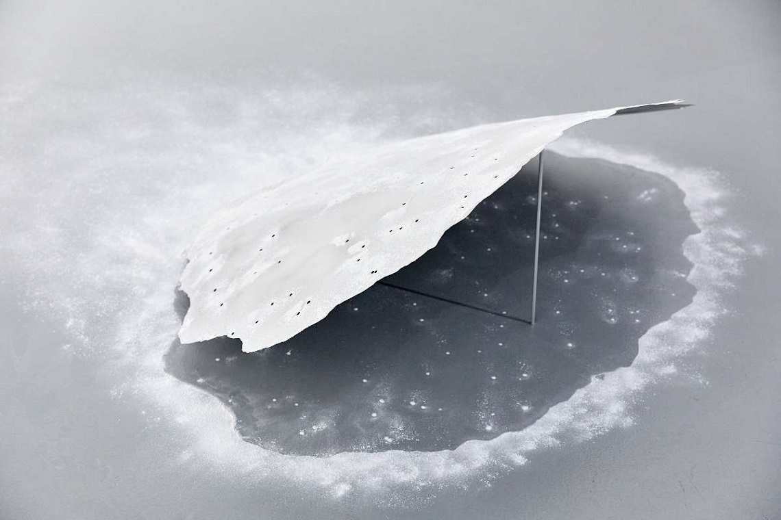 Lo stupore è nuovo ogni giorno. Foto Edoardo Piva