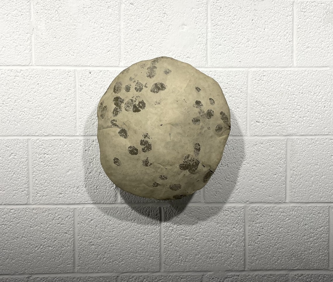 Fungo, 1969